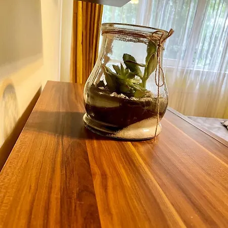 Διαμέρισμα Cozy And Clean Apartment, Near National Arena Βουκουρέστι