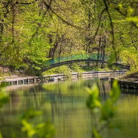 Cozy And Clean Apartment, Near National Arena Apartment *